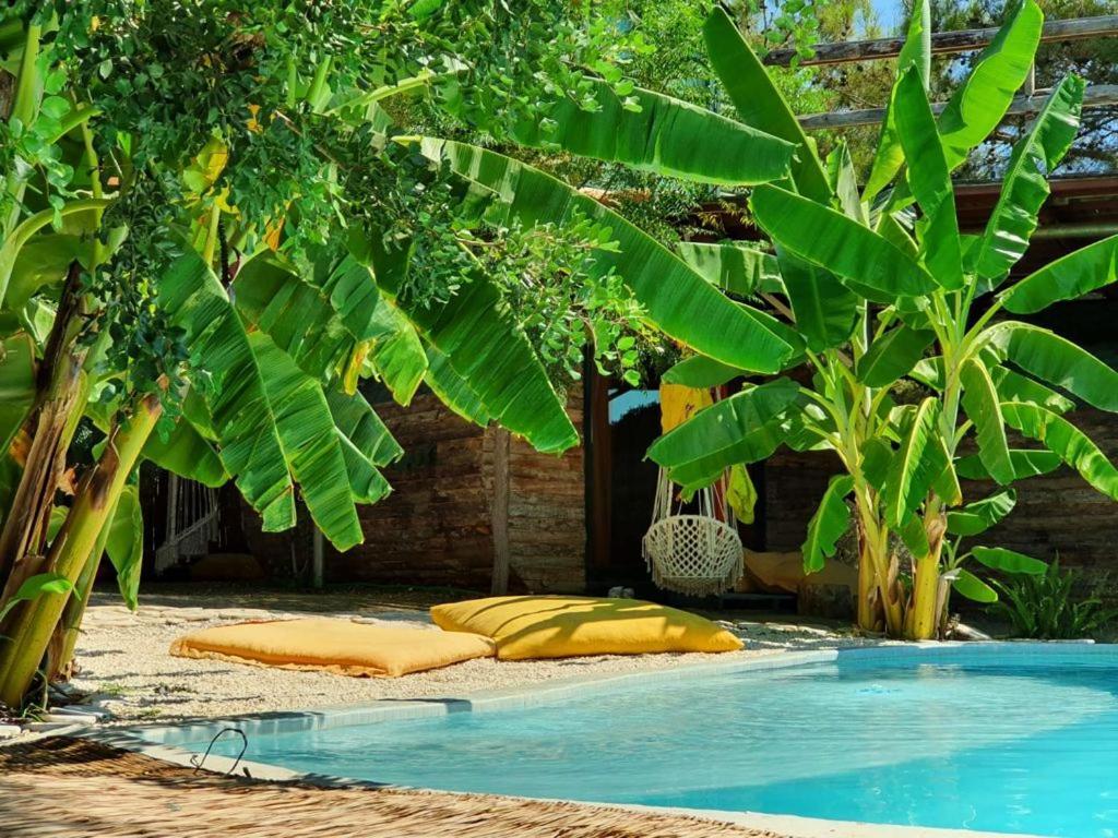 Mandala Camping Faralya Buitenkant foto